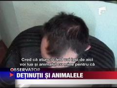 Detinutii si animalele de companie