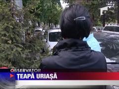 Teapa imobiliara de sute de mii de euro