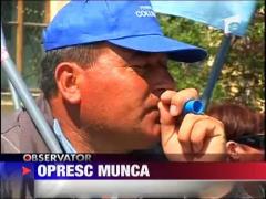 Greva in randul transportatorilor rutieri de persoane