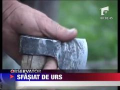 Observator de weekend