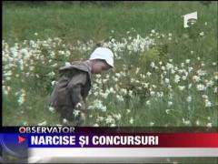 In Targu Jiu s-a organizat Sarbatoarea Narciselor