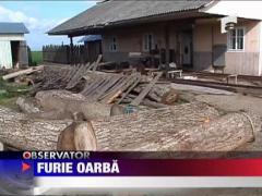 A omorat un cioban pentru ca pastea oile pe imasul sau