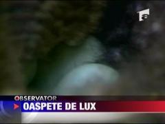 O rata, oaspete special pentru un hotel de lux din Washington