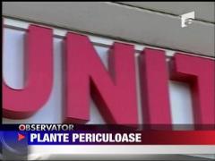 A ajuns in coma din cauza etnobotanicelor