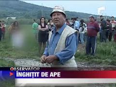 Copil inghitit de ape