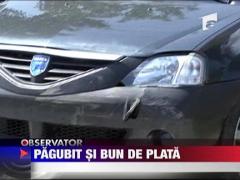 Pagubit si bun de plata