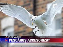 Pescarus, cu o sageata de Darts in cap, zboara fara probleme