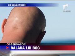 Balada lui boc
