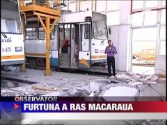 Macara doborata de vant