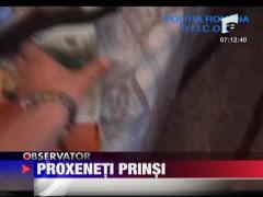 Proxeneti prinsi