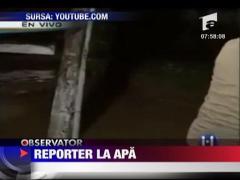 Reporter la apa
