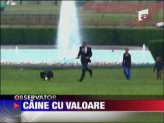 Obama si-a trecut si cainele in declaratia de venit