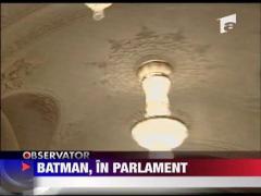 Batman la Parlamentul Romaniei