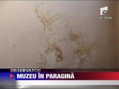 Muzeu in paragina