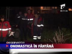 Onomastica in fantana