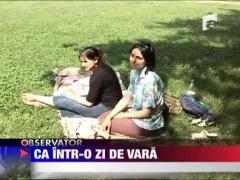 Ca intr-o zi de vara