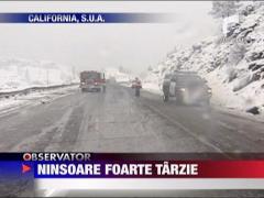 Ninsoare foarte tarzie