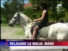 Echitatie la malul marii