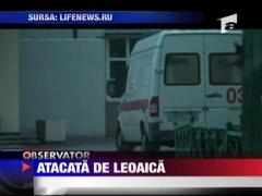 Fetita de 4 ani atacata de o leoaica