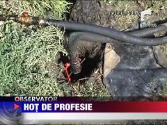 Hot de profesie