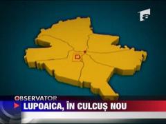 Observator 13 Weekend