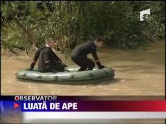 Luata de ape