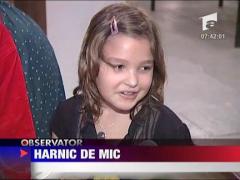 Harnic de mic