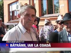 Batranii, iar la coada