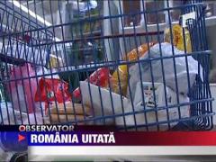 Pensionarii renunta la mancare