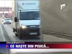 Copiii mostenesc comportamentul in trafic al parintilor