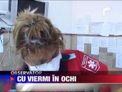 Traia cu viermi in ochi