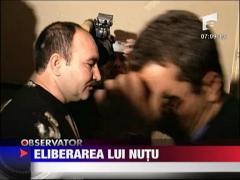 Nutu Camataru in libertate