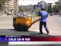 Cald ca-n iad
