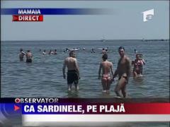 Ca sardinele, pe plaja