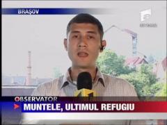 Muntele, ultimul refugiu