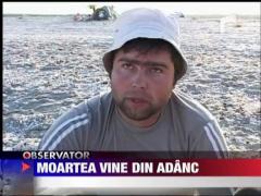 Moartea vine din adanc