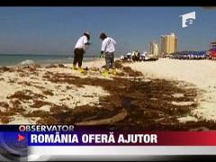 Romania ofera ajutor pentru SUA
