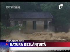 Natura dezlantuita in China