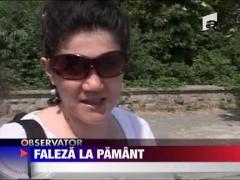 Faleza de la Eforie Sud s-a prabusit