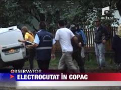 Electrocutat in copac