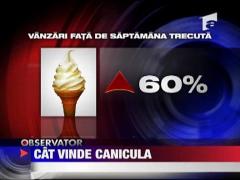 Cat vinde canicula