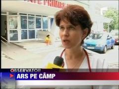 Ars pe camp