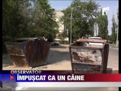 Impuscat ca un caine! La propriu!