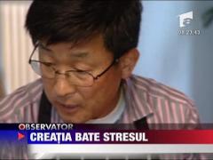 Creatia bate stresul