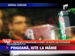 Prigoana, iute la manie