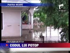 Codul lui Potop