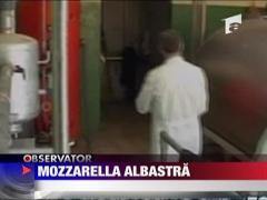 Mozzarella albastra