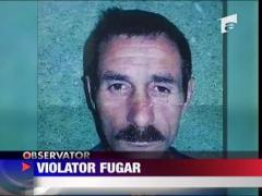 Detinut evadat din penitenciarul Timisoara - UPDATE