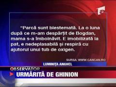 Luminita Anghel risca sa ramana pe drumuri