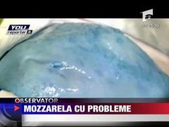 Mozzarela cu probleme